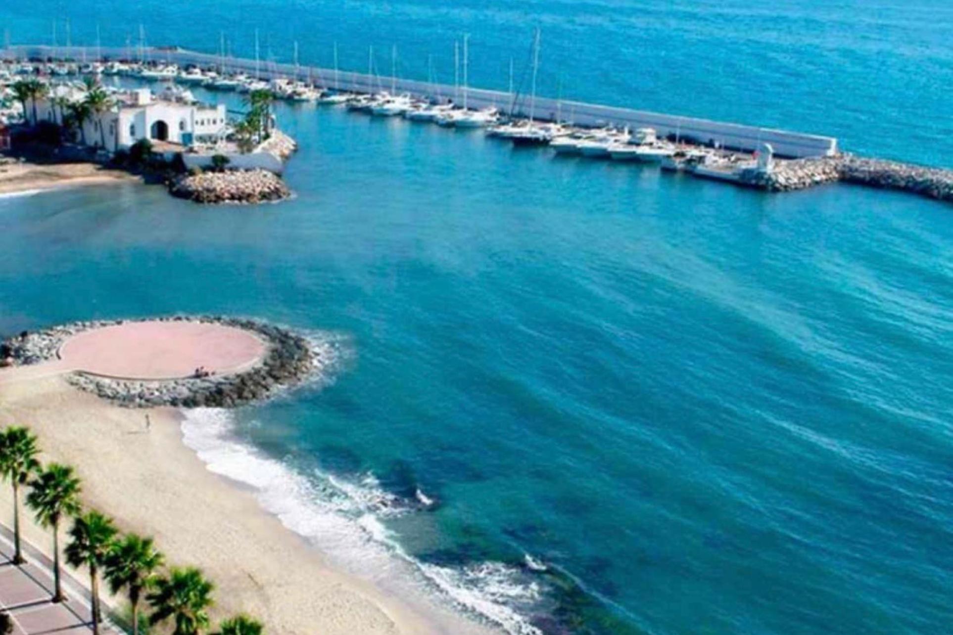 Appartement - Alicate Beachfront - 5